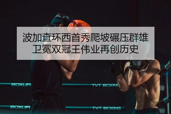 bo-jia-cha-huan-xi-shou-xiu-pa-po-nian-ya-qun-xiong-wei-mian-shuang-guan-wang-wei-ye-zai-chuang-li-shi-2-434.jpg